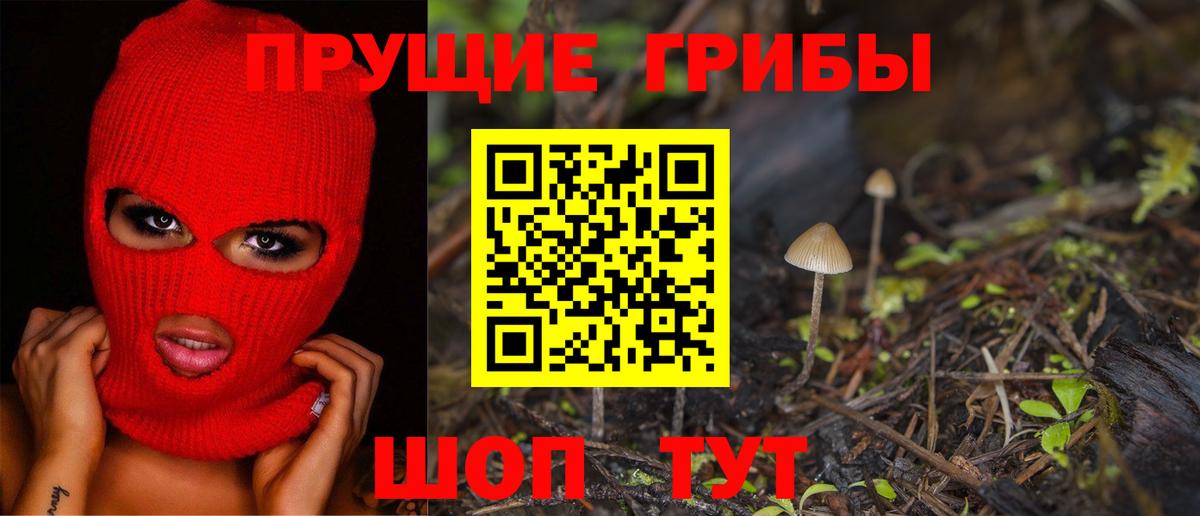 Галлюциногенные грибы Psilocybe  Вход с VPN  Псилоцибиновые грибы прущие грибы  Абакан 